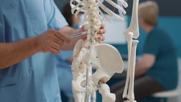 Fysioterapeutti osoittaa selkärankaa ihmisen luurangossa - Materiaali, video