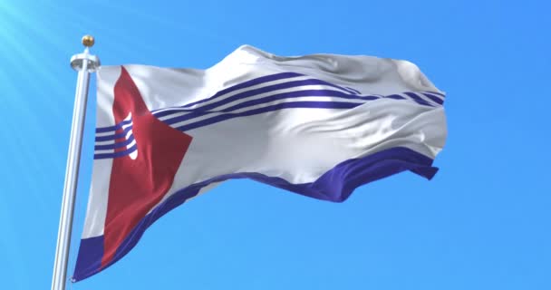 Artigas Department Flag, Uruguay. Bucle - Metraje, vídeo