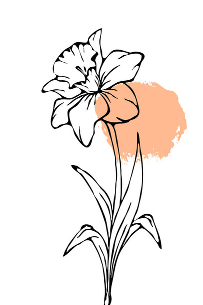 Printable trendy botanical card. Use for cover, wallpaper, wall art. - 写真・画像