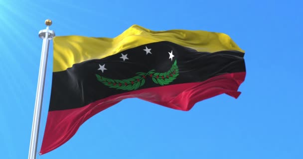 Bandiera di Stato di Tachira, Venezuela. Ciclo - Filmati, video
