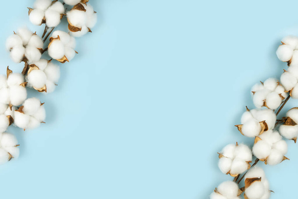 コピースペースと青の背景に綿の花の枝 - 写真・画像