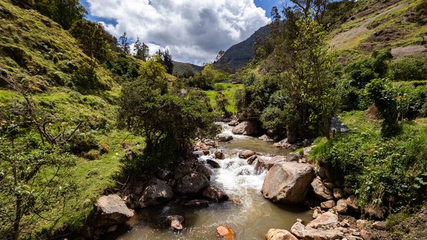 Joki ja vuoret Etelä-Amerikassa  - Valokuva, kuva