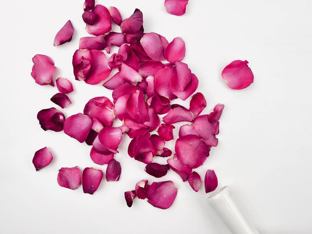 Spilled rose petals from a fallen vase, Valentine card clipping path Isolated white background  - Foto, Imagem
