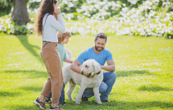 Felice famiglia che gioca con il cane riposando insieme sull'erba verde, divertirsi all'aperto. - Foto, immagini