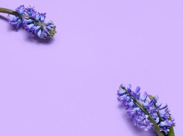 Gyönyörű jácintvirág orgona háttér - Fotó, kép