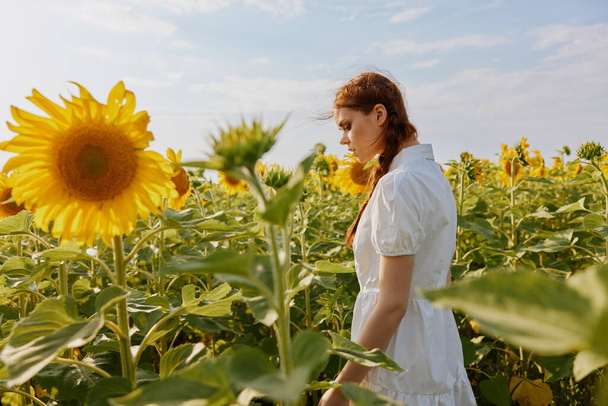 žena se dvěma copánky při pohledu do slunečnicového pole krajiny - Fotografie, Obrázek