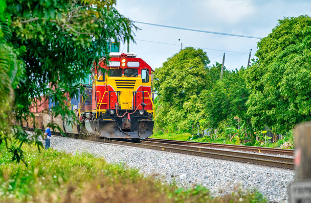 Renkli sarı ve kırmızı tren hızla ormandan geçiyor. - Fotoğraf, Görsel