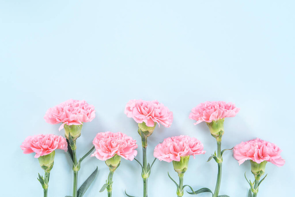 美しい咲くピンクのカーネーションは、明るいライトブルーの背景に隔離され、コピースペース、フラットレイ、トップビュー、モックアップ、お母さんの日のアイデアのコンセプト写真 - 写真・画像