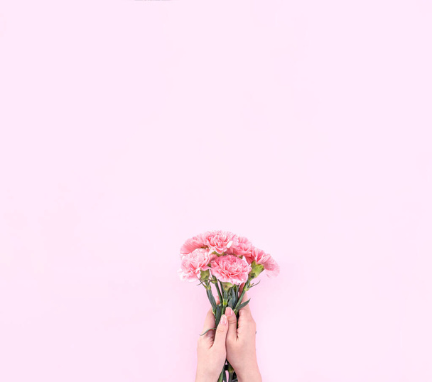 Frau gibt Bündel von Eleganz blühenden Baby rosa Farbe zarte Nelken isoliert auf leuchtend rosa Hintergrund, Muttertag Dekor-Design-Konzept, Draufsicht, Nahaufnahme, Kopierraum - Foto, Bild