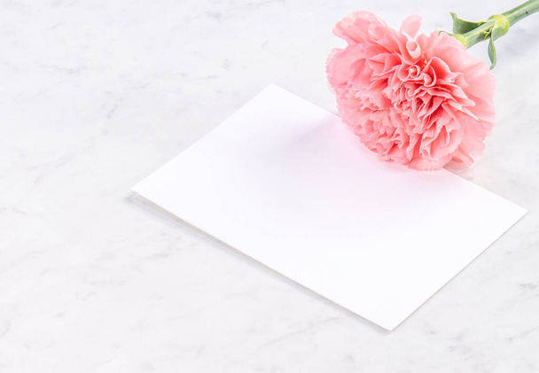 May mothers day handmade giftbox idea concept, beautiful blooming carnations with baby pink ribbon bow gift isolated on modern marble desk, close up, copy space, mock up - Foto, afbeelding
