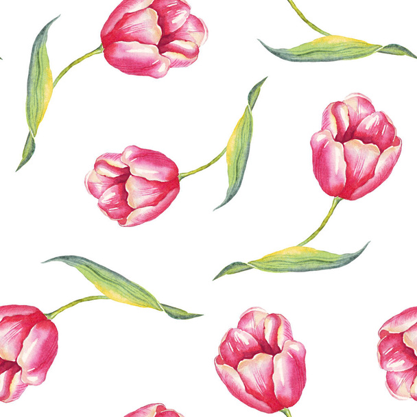 Akwarelowe tulipany. Płynny wzór. Ręcznie malowane - Zdjęcie, obraz