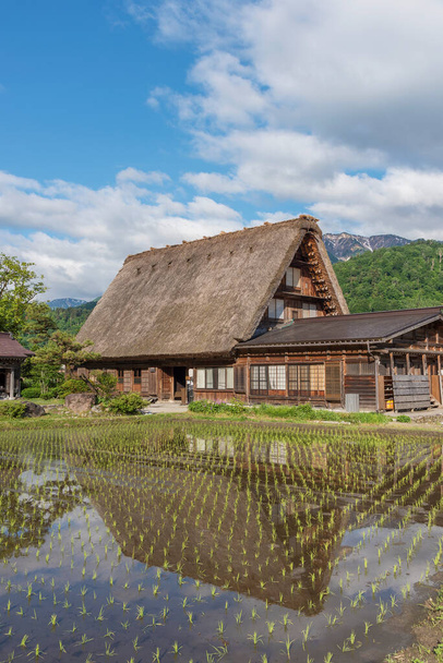 Τομέα του ρυζιού στο ιστορικό χωριό του Shirakawa-go. Shirakawa-go είναι μια από της Ιαπωνίας Unesco παγκόσμια πολιτιστική κληρονομιά βρίσκεται στο Gifu Νομαρχία, Ιαπωνία. - Φωτογραφία, εικόνα