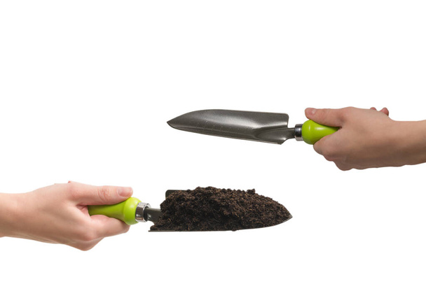 Little green shovel with soil in woman hand isolated on white background.   - 写真・画像