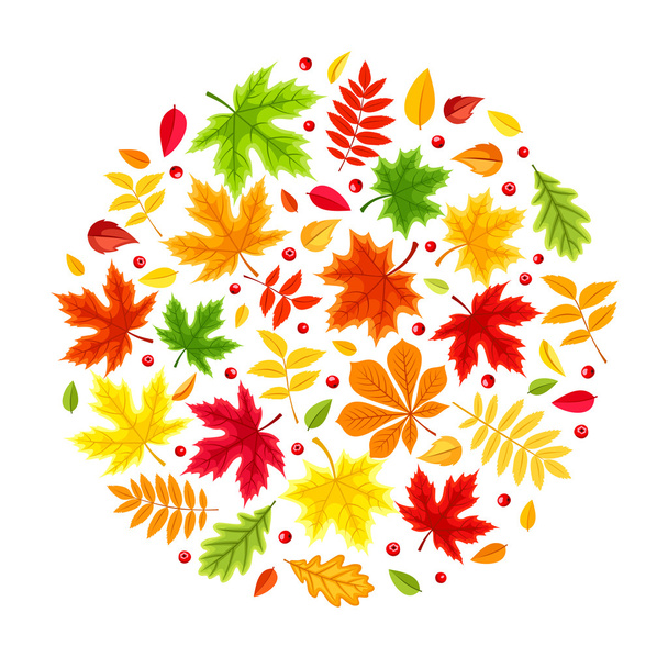 Background with colorful autumn leaves. Vector illustration. - Vector, Image