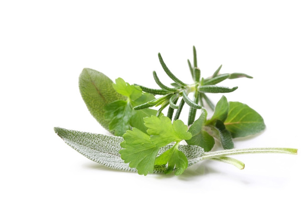 Fresh Herbs - Photo, Image