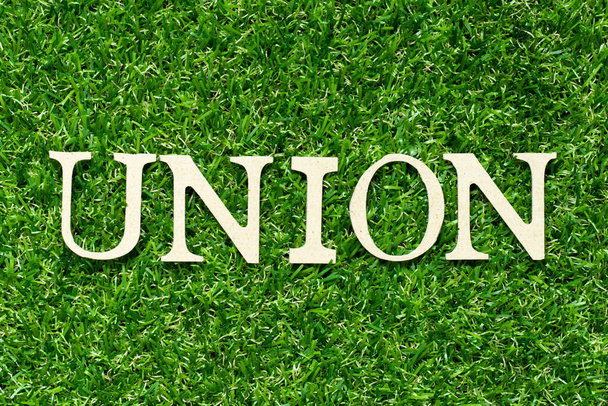 Dřevěné písmeno ve slově unie na zeleném travnatém pozadí - Fotografie, Obrázek