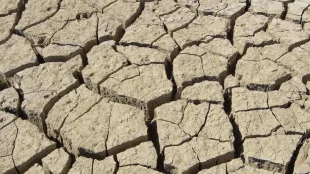Terreno agrietado por sequía - Imágenes, Vídeo