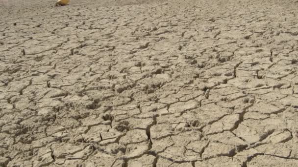 Tierra seca por sequía en un lugar donde antes había un lago - Imágenes, Vídeo