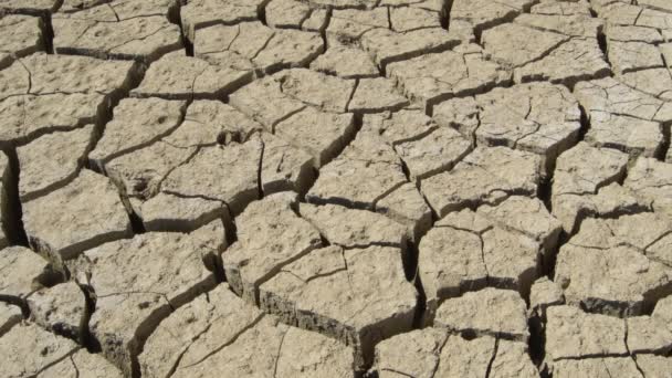 Tierra seca por sequía en un lugar donde antes había un lago, pan - Metraje, vídeo