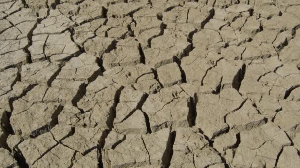 Tierra seca por sequía donde antes había un lago, pan - Imágenes, Vídeo