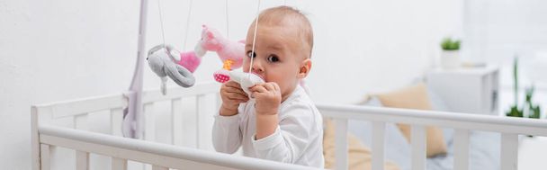 Младенец кусает игрушку в детской кровати дома, баннер  - Фото, изображение