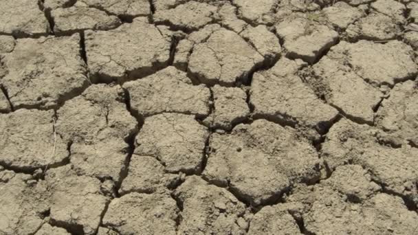 Gebarsten droog land door droogte - Video