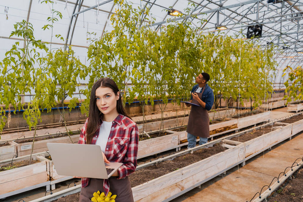Farmer in apron holding laptop while working in greenhouse  - Photo, Image