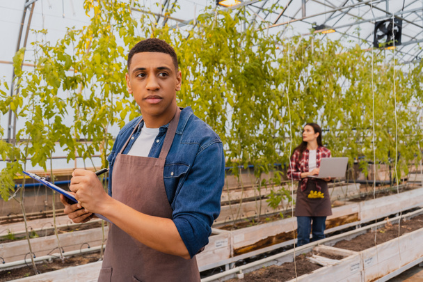 アフリカ系アメリカ人の農家は温室内のクリップボードに書き込みエプロン  - 写真・画像