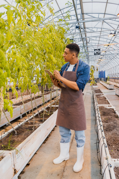 Side view of african american farmer writing on clipboard near plants in greenhouse  - Photo, image