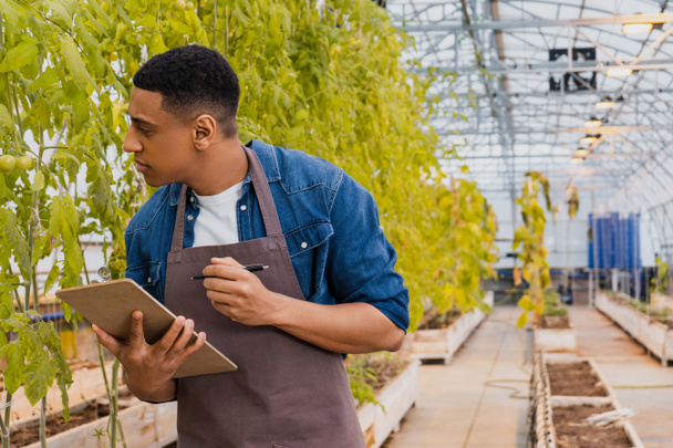 Side view of african american farmer holding pen and clipboard while looking at plants in greenhouse  - 写真・画像