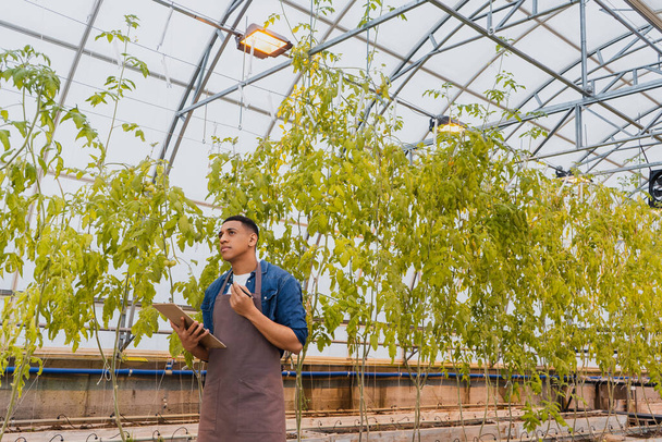 Pensativo agricultor afroamericano sosteniendo portapapeles cerca de plantas en invernadero  - Foto, imagen