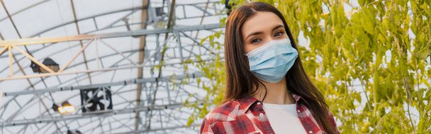 Fiatal mezőgazdasági termelő orvosi maszk nézi kamera közelében növények üvegházban, banner  - Fotó, kép