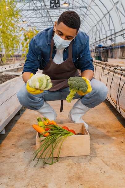 Fermier afro-américain en masque médical et gants tenant brocoli et chou près des légumes en serre  - Photo, image