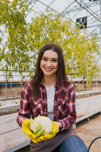 Cheerful farmer in gloves holding cauliflower in greenhouse  - Foto, Bild