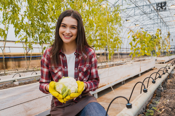 Positive farmer in apron and gloves holding cauliflower in greenhouse  - Foto, immagini