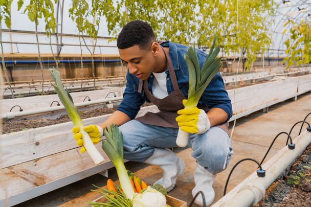 African american farmer holding leek near vegetables in greenhouse  - Fotó, kép