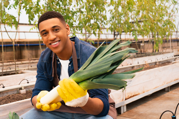 Smiling african american farmer in gloves holding leek and looking at camera in greenhouse  - Foto, Imagem