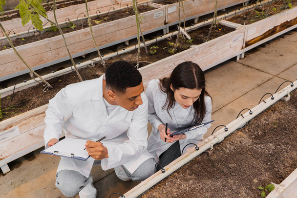 Fajok közötti botanikusok áttekintése, akik írótáblákat tartanak a talaj közelében az üvegházban  - Fotó, kép