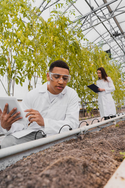 Afrikai-amerikai botanikus digitális tabletta a föld közelében, és homályos kolléga az üvegházban  - Fotó, kép