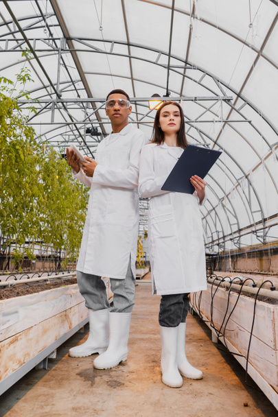 Low angle view of multiethnic botanists holding digital tablet and clipboard in greenhouse  - Photo, Image