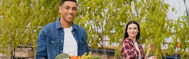 Lächelnder afrikanisch-amerikanischer Bauer blickt in die Kamera neben Gemüse und Kollege im Gewächshaus, Banner  - Foto, Bild