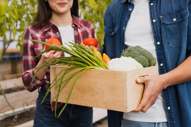 Vista recortada de agricultor afroamericano con verduras frescas cerca de colega en invernadero  - Foto, imagen