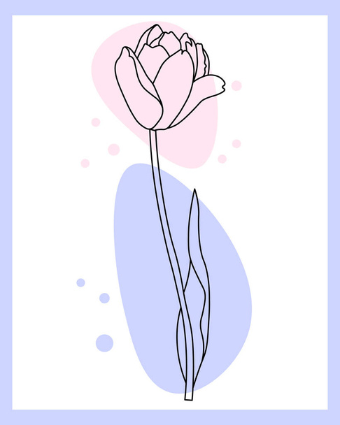 Linienkunst, Kontur Tulpenblume mit dem Zusatz von farbigen Flecken von Pastelltönen auf weißem Hintergrund. Poster, Wandkunst, Postkarte, Einladung - Vektor, Bild