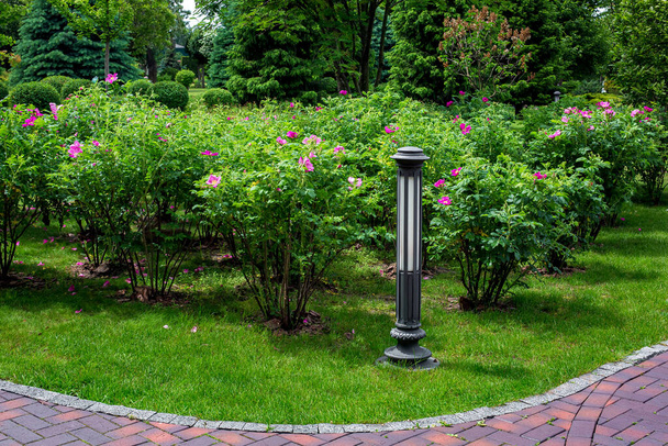 garden bed with ground iron lantern and bushes with bloom grow in a park with trees landscape design of summer plants near break stone tile pathway, nobody. - Foto, afbeelding