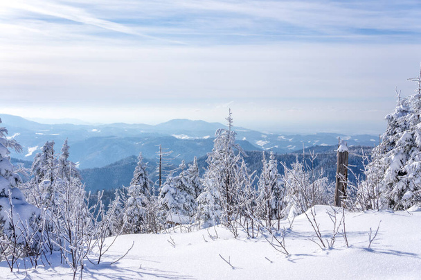 Krajobraz zimowy Sauerland w Niemczech  - Zdjęcie, obraz
