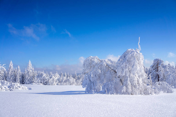 Paisagem de Inverno Sauerland na Alemanha  - Foto, Imagem