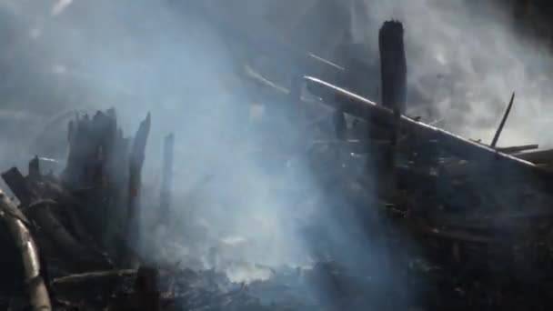 Resten van vuur en brandende struiken roken - Video