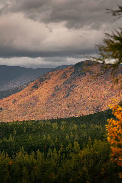 autumn landscape with trees and mountains - Foto, Imagen