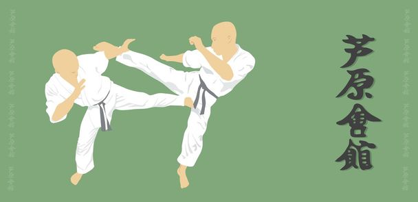 Zwei Männer betreiben Karate auf grünem Untergrund - Vektor, Bild
