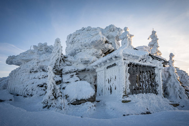 Karla kaplı ağaçlarla kaplı güzel kış manzarası - Fotoğraf, Görsel